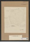 Triceratium schmidtii Janisch (de-Toni-Nr.: Genus 139, Species 3705) Zeichnungen Sammlung Grunow Nr. 7179 (NHMW-BOT-W0376159)